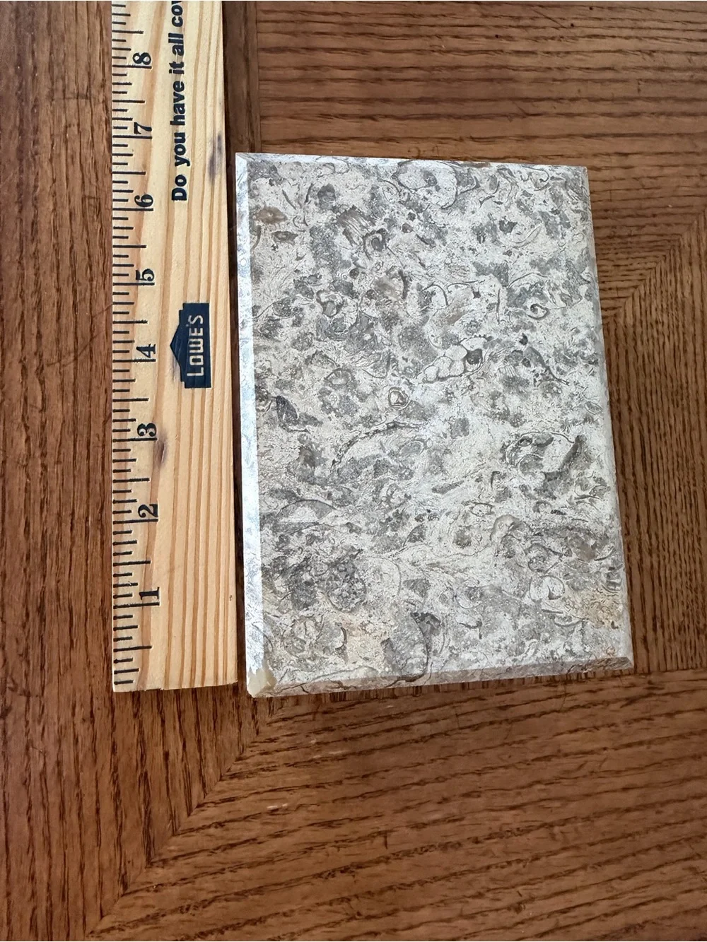 Fossil Stone Keepsake Box
